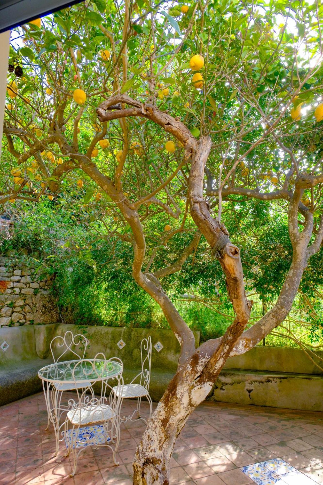Villa Dorothee Capri Exterior photo